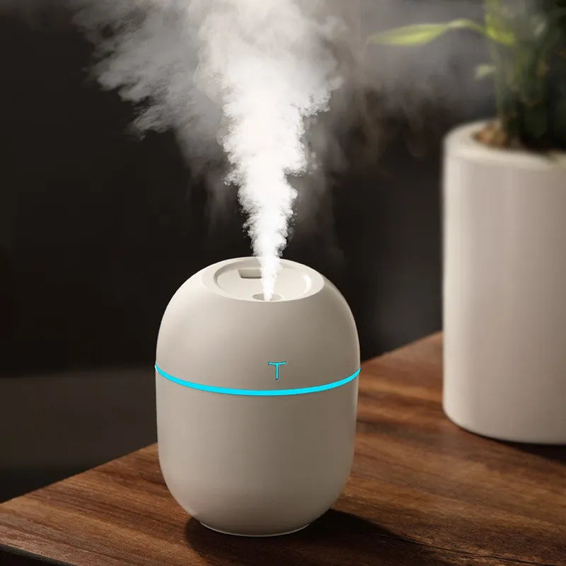 Umidificador Portátil USB
